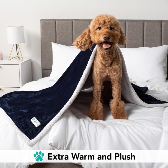 PetAmi Waterproof Dog Blanket for Bed, XL Dog Pet Blanket Couch Cover Protection, Sherpa Fleece Leak-Proof Duvet for Crate Kennel Sofa Furniture Protector, Reversible Soft Plush 80 x 60 cm, Grey PetAmi Waterproof Dog Blanket for Bed, XL Dog Pet Blanket Couch Cover Protection, Sherpa Fleece Leak-Proof Duvet for Crate Kennel Sofa Furniture Protector, Reversible Soft Plush 80 x 60 cm, Grey