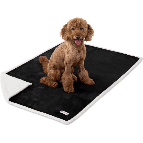 PetAmi Waterproof Dog Blanket for Bed, XL Dog Pet Blanket Couch Cover Protection, Sherpa Fleece Leak-Proof Duvet for Crate Kennel Sofa Furniture Protector, Reversible Soft Plush 80 x 60 cm, Grey PetAmi Waterproof Dog Blanket for Bed, XL Dog Pet Blanket Couch Cover Protection, Sherpa Fleece Leak-Proof Duvet for Crate Kennel Sofa Furniture Protector, Reversible Soft Plush 80 x 60 cm, Grey