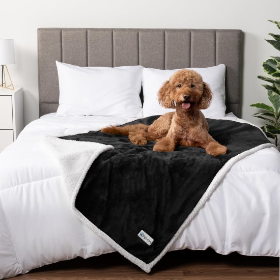 PetAmi Waterproof Dog Blanket for Bed, XL Dog Pet Blanket Couch Cover Protection, Sherpa Fleece Leak-Proof Duvet for Crate Kennel Sofa Furniture Protector, Reversible Soft Plush 80 x 60 cm, Grey PetAmi Waterproof Dog Blanket for Bed, XL Dog Pet Blanket Couch Cover Protection, Sherpa Fleece Leak-Proof Duvet for Crate Kennel Sofa Furniture Protector, Reversible Soft Plush 80 x 60 cm, Grey