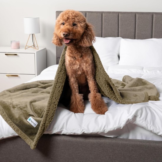 PetAmi Waterproof Dog Blanket for Bed, XL Dog Pet Blanket Couch Cover Protection, Sherpa Fleece Leak-Proof Duvet for Crate Kennel Sofa Furniture Protector, Reversible Soft Plush 80 x 60 cm, Grey PetAmi Waterproof Dog Blanket for Bed, XL Dog Pet Blanket Couch Cover Protection, Sherpa Fleece Leak-Proof Duvet for Crate Kennel Sofa Furniture Protector, Reversible Soft Plush 80 x 60 cm, Grey