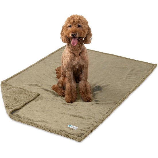 PetAmi Waterproof Dog Blanket for Bed, XL Dog Pet Blanket Couch Cover Protection, Sherpa Fleece Leak-Proof Duvet for Crate Kennel Sofa Furniture Protector, Reversible Soft Plush 80 x 60 cm, Grey PetAmi Waterproof Dog Blanket for Bed, XL Dog Pet Blanket Couch Cover Protection, Sherpa Fleece Leak-Proof Duvet for Crate Kennel Sofa Furniture Protector, Reversible Soft Plush 80 x 60 cm, Grey