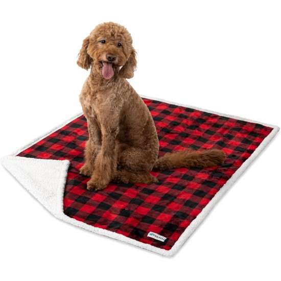 PetAmi Waterproof Dog Blanket for Bed, XL Dog Pet Blanket Couch Cover Protection, Sherpa Fleece Leak-Proof Duvet for Crate Kennel Sofa Furniture Protector, Reversible Soft Plush 80 x 60 cm, Grey PetAmi Waterproof Dog Blanket for Bed, XL Dog Pet Blanket Couch Cover Protection, Sherpa Fleece Leak-Proof Duvet for Crate Kennel Sofa Furniture Protector, Reversible Soft Plush 80 x 60 cm, Grey