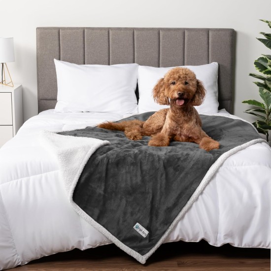 PetAmi Waterproof Dog Blanket for Bed, XL Dog Pet Blanket Couch Cover Protection, Sherpa Fleece Leak-Proof Duvet for Crate Kennel Sofa Furniture Protector, Reversible Soft Plush 80 x 60 cm, Grey PetAmi Waterproof Dog Blanket for Bed, XL Dog Pet Blanket Couch Cover Protection, Sherpa Fleece Leak-Proof Duvet for Crate Kennel Sofa Furniture Protector, Reversible Soft Plush 80 x 60 cm, Grey