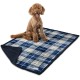 PetAmi Waterproof Dog Blanket for Bed, XL Dog Pet Blanket Couch Cover Protection, Sherpa Fleece Leak-Proof Duvet for Crate Kennel Sofa Furniture Protector, Reversible Soft Plush 80 x 60 cm, Grey PetAmi Waterproof Dog Blanket for Bed, XL Dog Pet Blanket Couch Cover Protection, Sherpa Fleece Leak-Proof Duvet for Crate Kennel Sofa Furniture Protector, Reversible Soft Plush 80 x 60 cm, Grey