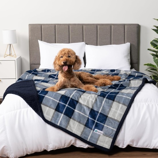 PetAmi Waterproof Dog Blanket for Bed, XL Dog Pet Blanket Couch Cover Protection, Sherpa Fleece Leak-Proof Duvet for Crate Kennel Sofa Furniture Protector, Reversible Soft Plush 80 x 60 cm, Grey PetAmi Waterproof Dog Blanket for Bed, XL Dog Pet Blanket Couch Cover Protection, Sherpa Fleece Leak-Proof Duvet for Crate Kennel Sofa Furniture Protector, Reversible Soft Plush 80 x 60 cm, Grey