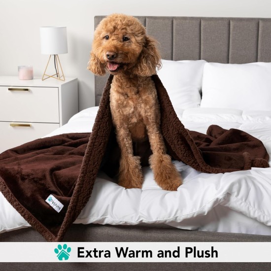 PetAmi Waterproof Dog Blanket for Bed, XL Dog Pet Blanket Couch Cover Protection, Sherpa Fleece Leak-Proof Duvet for Crate Kennel Sofa Furniture Protector, Reversible Soft Plush 80 x 60 cm, Grey PetAmi Waterproof Dog Blanket for Bed, XL Dog Pet Blanket Couch Cover Protection, Sherpa Fleece Leak-Proof Duvet for Crate Kennel Sofa Furniture Protector, Reversible Soft Plush 80 x 60 cm, Grey