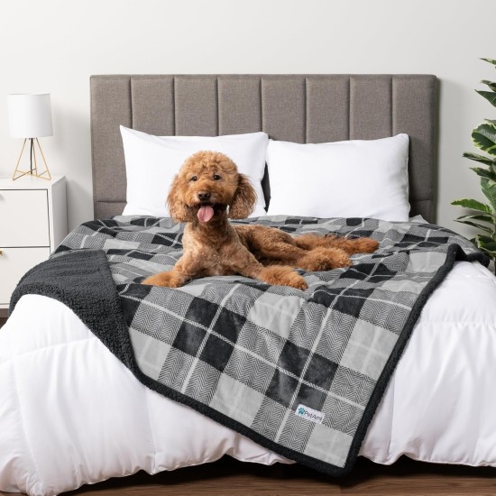 PetAmi Waterproof Dog Blanket for Bed, XL Dog Pet Blanket Couch Cover Protection, Sherpa Fleece Leak-Proof Duvet for Crate Kennel Sofa Furniture Protector, Reversible Soft Plush 80 x 60 cm, Grey PetAmi Waterproof Dog Blanket for Bed, XL Dog Pet Blanket Couch Cover Protection, Sherpa Fleece Leak-Proof Duvet for Crate Kennel Sofa Furniture Protector, Reversible Soft Plush 80 x 60 cm, Grey