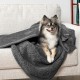 PetAmi Waterproof Dog Blanket for Bed, XL Dog Pet Blanket Couch Cover Protection, Sherpa Fleece Leak-Proof Duvet for Crate Kennel Sofa Furniture Protector, Reversible Soft Plush 80 x 60 cm, Grey PetAmi Waterproof Dog Blanket for Bed, XL Dog Pet Blanket Couch Cover Protection, Sherpa Fleece Leak-Proof Duvet for Crate Kennel Sofa Furniture Protector, Reversible Soft Plush 80 x 60 cm, Grey