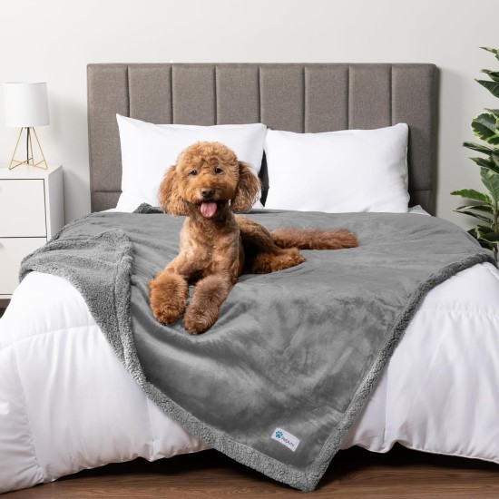 PetAmi Waterproof Dog Blanket for Bed, XL Dog Pet Blanket Couch Cover Protection, Sherpa Fleece Leak-Proof Duvet for Crate Kennel Sofa Furniture Protector, Reversible Soft Plush 80 x 60 cm, Grey PetAmi Waterproof Dog Blanket for Bed, XL Dog Pet Blanket Couch Cover Protection, Sherpa Fleece Leak-Proof Duvet for Crate Kennel Sofa Furniture Protector, Reversible Soft Plush 80 x 60 cm, Grey