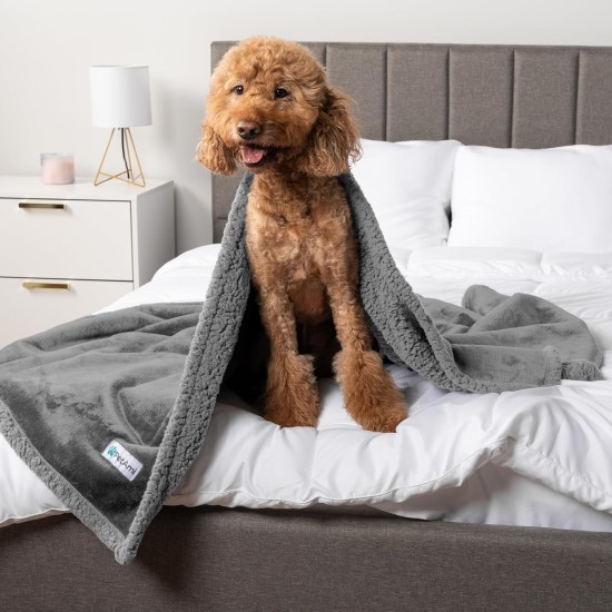 PetAmi Waterproof Dog Blanket for Bed, XL Dog Pet Blanket Couch Cover Protection, Sherpa Fleece Leak-Proof Duvet for Crate Kennel Sofa Furniture Protector, Reversible Soft Plush 80 x 60 cm, Grey PetAmi Waterproof Dog Blanket for Bed, XL Dog Pet Blanket Couch Cover Protection, Sherpa Fleece Leak-Proof Duvet for Crate Kennel Sofa Furniture Protector, Reversible Soft Plush 80 x 60 cm, Grey