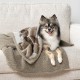 PetAmi Waterproof Dog Blanket for Bed, XL Dog Pet Blanket Couch Cover Protection, Sherpa Fleece Leak-Proof Duvet for Crate Kennel Sofa Furniture Protector, Reversible Soft Plush 80 x 60 cm, Grey PetAmi Waterproof Dog Blanket for Bed, XL Dog Pet Blanket Couch Cover Protection, Sherpa Fleece Leak-Proof Duvet for Crate Kennel Sofa Furniture Protector, Reversible Soft Plush 80 x 60 cm, Grey