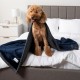 PetAmi Waterproof Dog Blanket for Bed, XL Dog Pet Blanket Couch Cover Protection, Sherpa Fleece Leak-Proof Duvet for Crate Kennel Sofa Furniture Protector, Reversible Soft Plush 80 x 60 cm, Grey PetAmi Waterproof Dog Blanket for Bed, XL Dog Pet Blanket Couch Cover Protection, Sherpa Fleece Leak-Proof Duvet for Crate Kennel Sofa Furniture Protector, Reversible Soft Plush 80 x 60 cm, Grey