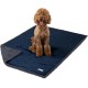 PetAmi Waterproof Dog Blanket for Bed, XL Dog Pet Blanket Couch Cover Protection, Sherpa Fleece Leak-Proof Duvet for Crate Kennel Sofa Furniture Protector, Reversible Soft Plush 80 x 60 cm, Grey PetAmi Waterproof Dog Blanket for Bed, XL Dog Pet Blanket Couch Cover Protection, Sherpa Fleece Leak-Proof Duvet for Crate Kennel Sofa Furniture Protector, Reversible Soft Plush 80 x 60 cm, Grey