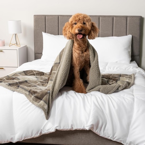 PetAmi Waterproof Dog Blanket for Bed, XL Dog Pet Blanket Couch Cover Protection, Sherpa Fleece Leak-Proof Duvet for Crate Kennel Sofa Furniture Protector, Reversible Soft Plush 80 x 60 cm, Grey PetAmi Waterproof Dog Blanket for Bed, XL Dog Pet Blanket Couch Cover Protection, Sherpa Fleece Leak-Proof Duvet for Crate Kennel Sofa Furniture Protector, Reversible Soft Plush 80 x 60 cm, Grey