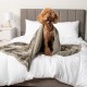 PetAmi Waterproof Dog Blanket for Bed, XL Dog Pet Blanket Couch Cover Protection, Sherpa Fleece Leak-Proof Duvet for Crate Kennel Sofa Furniture Protector, Reversible Soft Plush 80 x 60 cm, Grey PetAmi Waterproof Dog Blanket for Bed, XL Dog Pet Blanket Couch Cover Protection, Sherpa Fleece Leak-Proof Duvet for Crate Kennel Sofa Furniture Protector, Reversible Soft Plush 80 x 60 cm, Grey