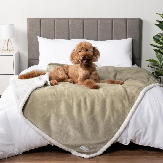 PetAmi Waterproof Dog Blanket for Bed, XL Dog Pet Blanket Couch Cover Protection, Sherpa Fleece Leak-Proof Duvet for Crate Kennel Sofa Furniture Protector, Reversible Soft Plush 80 x 60 cm, Grey PetAmi Waterproof Dog Blanket for Bed, XL Dog Pet Blanket Couch Cover Protection, Sherpa Fleece Leak-Proof Duvet for Crate Kennel Sofa Furniture Protector, Reversible Soft Plush 80 x 60 cm, Grey