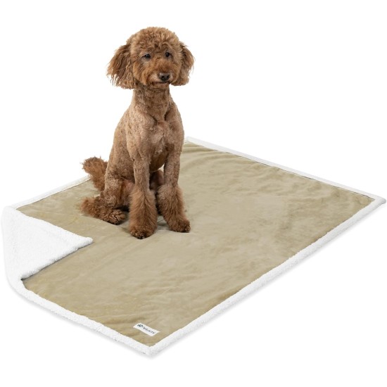 PetAmi Waterproof Dog Blanket for Bed, XL Dog Pet Blanket Couch Cover Protection, Sherpa Fleece Leak-Proof Duvet for Crate Kennel Sofa Furniture Protector, Reversible Soft Plush 80 x 60 cm, Grey PetAmi Waterproof Dog Blanket for Bed, XL Dog Pet Blanket Couch Cover Protection, Sherpa Fleece Leak-Proof Duvet for Crate Kennel Sofa Furniture Protector, Reversible Soft Plush 80 x 60 cm, Grey