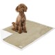 PetAmi Waterproof Dog Blanket for Bed, XL Dog Pet Blanket Couch Cover Protection, Sherpa Fleece Leak-Proof Duvet for Crate Kennel Sofa Furniture Protector, Reversible Soft Plush 80 x 60 cm, Grey PetAmi Waterproof Dog Blanket for Bed, XL Dog Pet Blanket Couch Cover Protection, Sherpa Fleece Leak-Proof Duvet for Crate Kennel Sofa Furniture Protector, Reversible Soft Plush 80 x 60 cm, Grey