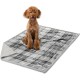 PetAmi Waterproof Dog Blanket for Bed, XL Dog Pet Blanket Couch Cover Protection, Sherpa Fleece Leak-Proof Duvet for Crate Kennel Sofa Furniture Protector, Reversible Soft Plush 80 x 60 cm, Grey PetAmi Waterproof Dog Blanket for Bed, XL Dog Pet Blanket Couch Cover Protection, Sherpa Fleece Leak-Proof Duvet for Crate Kennel Sofa Furniture Protector, Reversible Soft Plush 80 x 60 cm, Grey