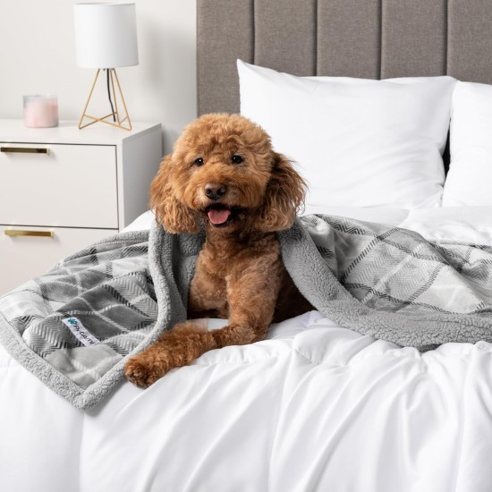 PetAmi Waterproof Dog Blanket for Bed, XL Dog Pet Blanket Couch Cover Protection, Sherpa Fleece Leak-Proof Duvet for Crate Kennel Sofa Furniture Protector, Reversible Soft Plush 80 x 60 cm, Grey PetAmi Waterproof Dog Blanket for Bed, XL Dog Pet Blanket Couch Cover Protection, Sherpa Fleece Leak-Proof Duvet for Crate Kennel Sofa Furniture Protector, Reversible Soft Plush 80 x 60 cm, Grey