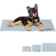 Relaxdays Dog Cooling Mat, 20 x 35 cm, Self-Cooling Dog Mat, Gel Wipe Clean Cooling Mat for Pets, Green Relaxdays Dog Cooling Mat, 20 x 35 cm, Self-Cooling Dog Mat, Gel Wipe Clean Cooling Mat for Pets, Green