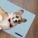 Relaxdays Dog Cooling Mat, 20 x 35 cm, Self-Cooling Dog Mat, Gel Wipe Clean Cooling Mat for Pets, Green Relaxdays Dog Cooling Mat, 20 x 35 cm, Self-Cooling Dog Mat, Gel Wipe Clean Cooling Mat for Pets, Green