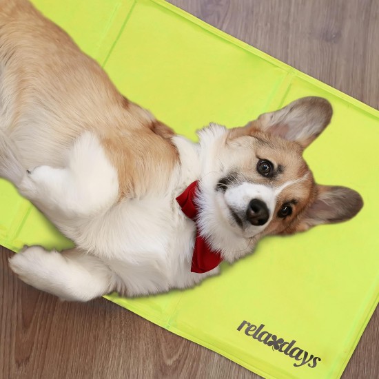 Relaxdays Dog Cooling Mat, 20 x 35 cm, Self-Cooling Dog Mat, Gel Wipe Clean Cooling Mat for Pets, Green Relaxdays Dog Cooling Mat, 20 x 35 cm, Self-Cooling Dog Mat, Gel Wipe Clean Cooling Mat for Pets, Green