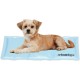 Relaxdays Dog Cooling Mat, 20 x 35 cm, Self-Cooling Dog Mat, Gel Wipe Clean, Cooling Mat for Pets, Light Blue Relaxdays Dog Cooling Mat, 20 x 35 cm, Self-Cooling Dog Mat, Gel Wipe Clean, Cooling Mat for Pets, Light Blue