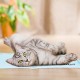 Relaxdays Dog Cooling Mat, 20 x 35 cm, Self-Cooling Dog Mat, Gel Wipe Clean, Cooling Mat for Pets, Light Blue Relaxdays Dog Cooling Mat, 20 x 35 cm, Self-Cooling Dog Mat, Gel Wipe Clean, Cooling Mat for Pets, Light Blue