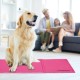 Relaxdays Dog Cooling Mat, 20 x 35 cm, Self-Cooling Dog Mat with Gel, Wipe-Clean Cooling Mat for Pets, Pink Relaxdays Dog Cooling Mat, 20 x 35 cm, Self-Cooling Dog Mat with Gel, Wipe-Clean Cooling Mat for Pets, Pink