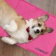 Relaxdays Dog Cooling Mat, 20 x 35 cm, Self-Cooling Dog Mat with Gel, Wipe-Clean Cooling Mat for Pets, Pink Relaxdays Dog Cooling Mat, 20 x 35 cm, Self-Cooling Dog Mat with Gel, Wipe-Clean Cooling Mat for Pets, Pink