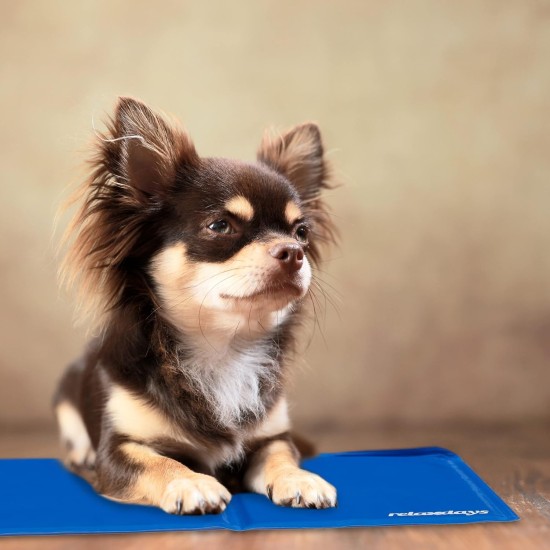 Relaxdays Dog Cooling Mat, 40 x 30 cm, Self-Cooling Dog Mat, Gel Wipe Clean, Cooling Mat for Pets, Blue Relaxdays Dog Cooling Mat, 40 x 30 cm, Self-Cooling Dog Mat, Gel Wipe Clean, Cooling Mat for Pets, Blue