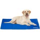 Relaxdays Dog Cooling Mat, 40 x 30 cm, Self-Cooling Dog Mat, Gel Wipe Clean, Cooling Mat for Pets, Blue Relaxdays Dog Cooling Mat, 40 x 30 cm, Self-Cooling Dog Mat, Gel Wipe Clean, Cooling Mat for Pets, Blue