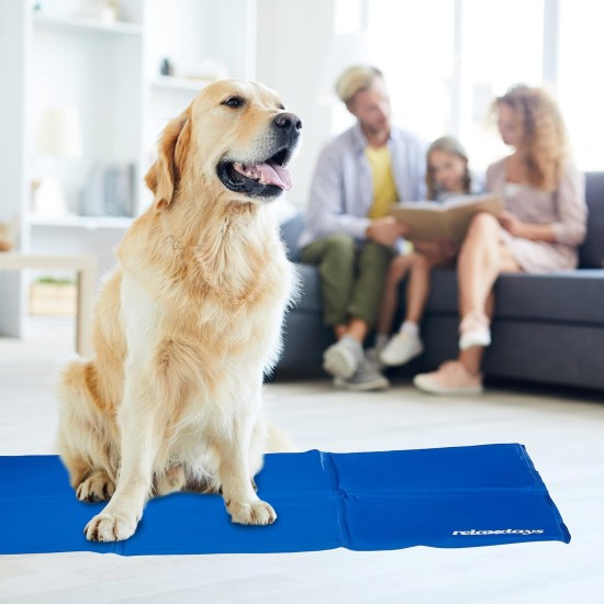 Relaxdays Dog Cooling Mat, 40 x 30 cm, Self-Cooling Dog Mat, Gel Wipe Clean, Cooling Mat for Pets, Blue Relaxdays Dog Cooling Mat, 40 x 30 cm, Self-Cooling Dog Mat, Gel Wipe Clean, Cooling Mat for Pets, Blue