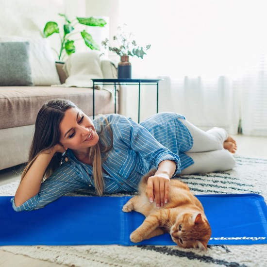 Relaxdays Dog Cooling Mat, 40 x 30 cm, Self-Cooling Dog Mat, Gel Wipe Clean, Cooling Mat for Pets, Blue Relaxdays Dog Cooling Mat, 40 x 30 cm, Self-Cooling Dog Mat, Gel Wipe Clean, Cooling Mat for Pets, Blue