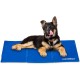 Relaxdays Dog Cooling Mat, 40 x 30 cm, Self-Cooling Dog Mat, Gel Wipe Clean, Cooling Mat for Pets, Blue Relaxdays Dog Cooling Mat, 40 x 30 cm, Self-Cooling Dog Mat, Gel Wipe Clean, Cooling Mat for Pets, Blue