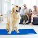 Relaxdays Dog Cooling Mat, 40 x 30 cm, Self-Cooling Dog Mat, Gel Wipe Clean, Cooling Mat for Pets, Blue Relaxdays Dog Cooling Mat, 40 x 30 cm, Self-Cooling Dog Mat, Gel Wipe Clean, Cooling Mat for Pets, Blue