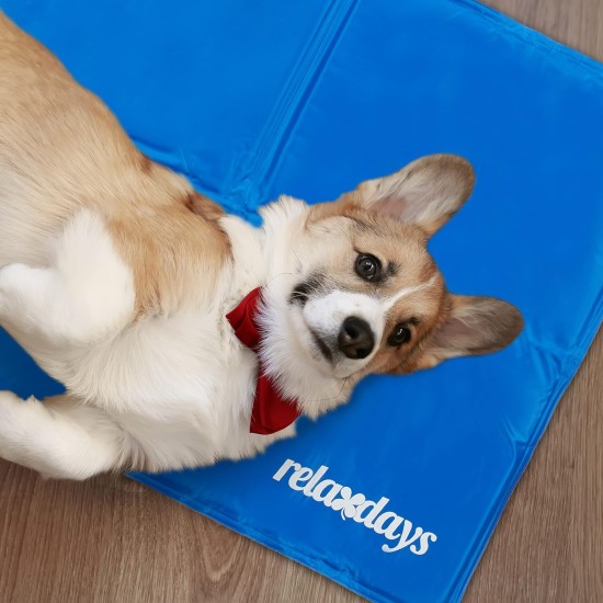 Relaxdays Dog Cooling Mat, 40 x 30 cm, Self-Cooling Dog Mat, Gel Wipe Clean, Cooling Mat for Pets, Blue Relaxdays Dog Cooling Mat, 40 x 30 cm, Self-Cooling Dog Mat, Gel Wipe Clean, Cooling Mat for Pets, Blue