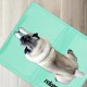 Relaxdays Dog Cooling Mat, 40 x 50 cm, Self-Cooling Dog Mat, Gel Wipe Clean Cooling Mat for Pets, Turquoise Relaxdays Dog Cooling Mat, 40 x 50 cm, Self-Cooling Dog Mat, Gel Wipe Clean Cooling Mat for Pets, Turquoise