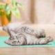Relaxdays Dog Cooling Mat, 40 x 50 cm, Self-Cooling Dog Mat, Gel Wipe Clean Cooling Mat for Pets, Turquoise Relaxdays Dog Cooling Mat, 40 x 50 cm, Self-Cooling Dog Mat, Gel Wipe Clean Cooling Mat for Pets, Turquoise