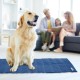 Relaxdays Dog Cooling Mat, 50 x 40 cm, Self-Cooling Dog Mat, Gel Wipe Clean, Cooling Mat for Pets, Blue, Plastic, S Relaxdays Dog Cooling Mat, 50 x 40 cm, Self-Cooling Dog Mat, Gel Wipe Clean, Cooling Mat for Pets, Blue, Plastic, S