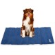 Relaxdays Dog Cooling Mat, 50 x 40 cm, Self-Cooling Dog Mat, Gel Wipe Clean, Cooling Mat for Pets, Blue, Plastic, S Relaxdays Dog Cooling Mat, 50 x 40 cm, Self-Cooling Dog Mat, Gel Wipe Clean, Cooling Mat for Pets, Blue, Plastic, S