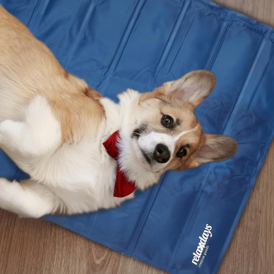 Relaxdays Dog Cooling Mat, 50 x 40 cm, Self-Cooling Dog Mat, Gel Wipe Clean, Cooling Mat for Pets, Blue, Plastic, S Relaxdays Dog Cooling Mat, 50 x 40 cm, Self-Cooling Dog Mat, Gel Wipe Clean, Cooling Mat for Pets, Blue, Plastic, S