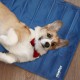 Relaxdays Dog Cooling Mat, 50 x 40 cm, Self-Cooling Dog Mat, Gel Wipe Clean, Cooling Mat for Pets, Blue, Plastic, S Relaxdays Dog Cooling Mat, 50 x 40 cm, Self-Cooling Dog Mat, Gel Wipe Clean, Cooling Mat for Pets, Blue, Plastic, S