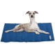 Relaxdays Dog Cooling Mat, 50 x 40 cm, Self-Cooling Dog Mat, Gel Wipe Clean, Cooling Mat for Pets, Blue, Plastic, S Relaxdays Dog Cooling Mat, 50 x 40 cm, Self-Cooling Dog Mat, Gel Wipe Clean, Cooling Mat for Pets, Blue, Plastic, S