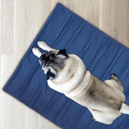 Relaxdays Dog Cooling Mat, 50 x 40 cm, Self-Cooling Dog Mat, Gel Wipe Clean, Cooling Mat for Pets, Blue, Plastic, S Relaxdays Dog Cooling Mat, 50 x 40 cm, Self-Cooling Dog Mat, Gel Wipe Clean, Cooling Mat for Pets, Blue, Plastic, S