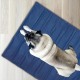 Relaxdays Dog Cooling Mat, 50 x 40 cm, Self-Cooling Dog Mat, Gel Wipe Clean, Cooling Mat for Pets, Blue, Plastic, S Relaxdays Dog Cooling Mat, 50 x 40 cm, Self-Cooling Dog Mat, Gel Wipe Clean, Cooling Mat for Pets, Blue, Plastic, S