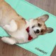 Relaxdays Dog Cooling Mat, 50 x 90 cm, Self-Cooling Dog Mat, Gel Wipe Clean Cooling Mat for Pets, Turquoise Relaxdays Dog Cooling Mat, 50 x 90 cm, Self-Cooling Dog Mat, Gel Wipe Clean Cooling Mat for Pets, Turquoise
