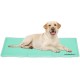 Relaxdays Dog Cooling Mat, 50 x 90 cm, Self-Cooling Dog Mat, Gel Wipe Clean Cooling Mat for Pets, Turquoise Relaxdays Dog Cooling Mat, 50 x 90 cm, Self-Cooling Dog Mat, Gel Wipe Clean Cooling Mat for Pets, Turquoise