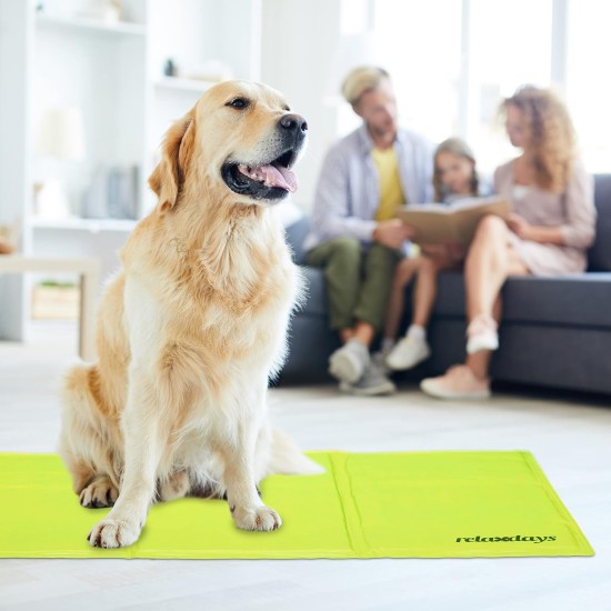 Relaxdays Dog Cooling Mat, 60 x 100 cm, Self-Cooling Dog Mat, Gel Wipe Clean Cooling Mat for Pets, Green Relaxdays Dog Cooling Mat, 60 x 100 cm, Self-Cooling Dog Mat, Gel Wipe Clean Cooling Mat for Pets, Green